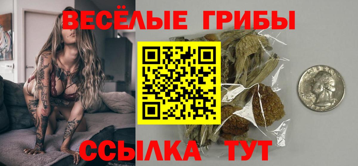 Псилоцибиновые грибы Psilocybe  Вход с VPN  Галлюциногенные грибы мицелий  Якутск 